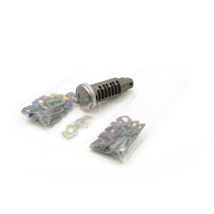 Canhão de Porta desmontado – BMW - OEM: 51218135959