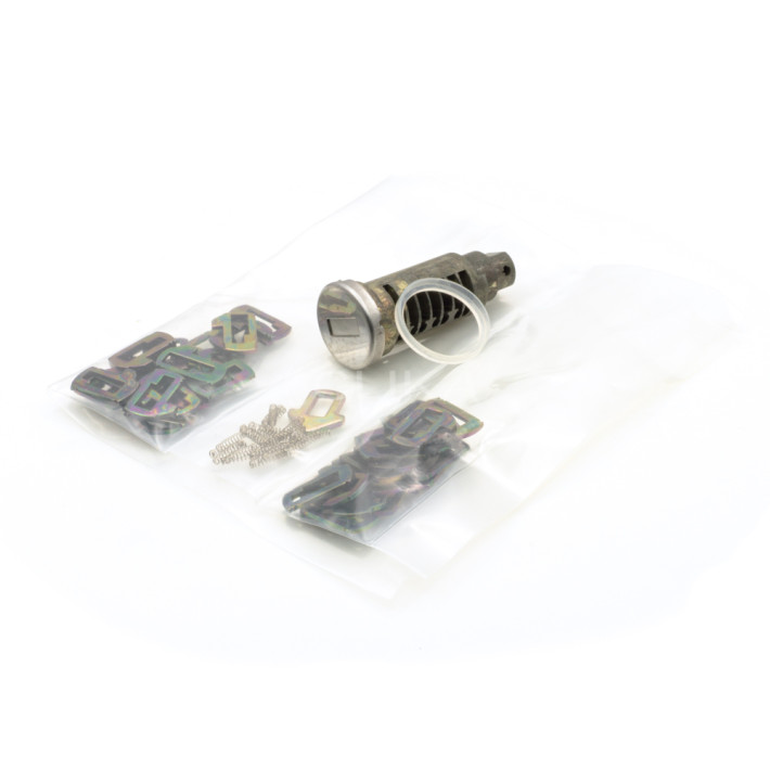 Canhão de Porta desmontado – BMW - OEM: 51218135960