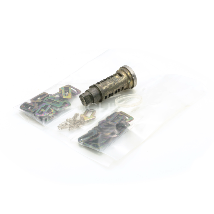 Canhão de Porta desmontado – BMW - OEM: 51218135960