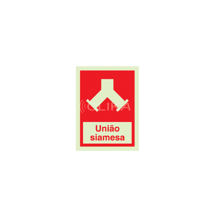 Sinal de união siamesa - P 04 13